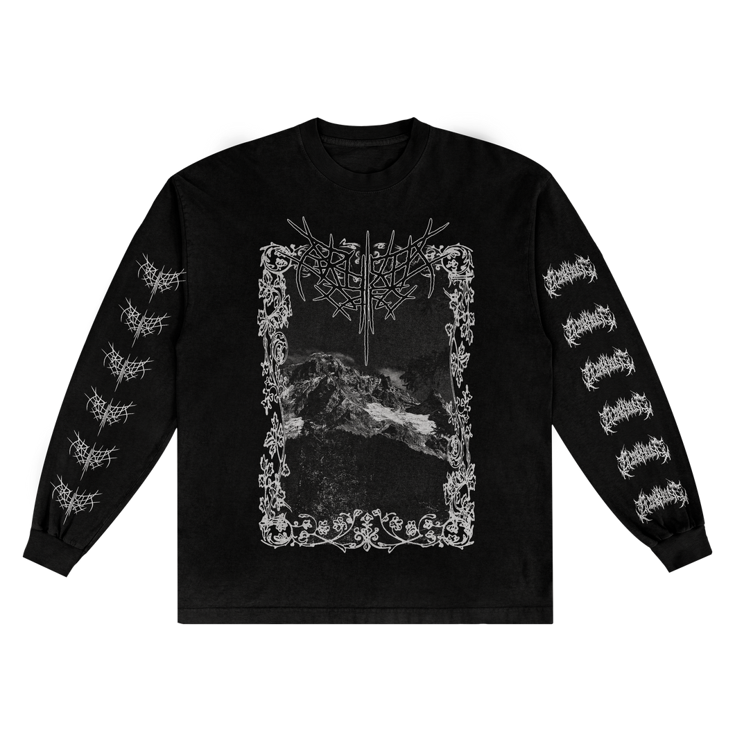 BRUISED CORE - BEG FOR PEACE LONG SLEEVE